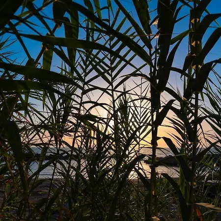 Vila Archangelo Bay On The Paramonas (Corfu)