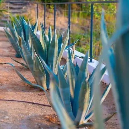 Archangelo Bay On The Villa Paramonas (Corfu)