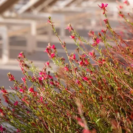 Archangelo Bay On The * Paramonas (Corfu)
