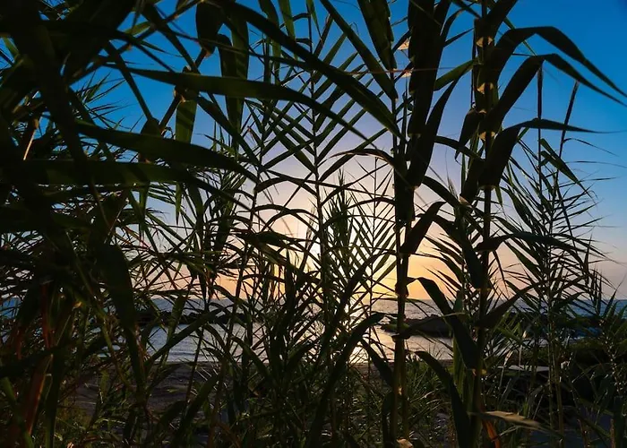 Вилла Archangelo Bay On The Парамонас